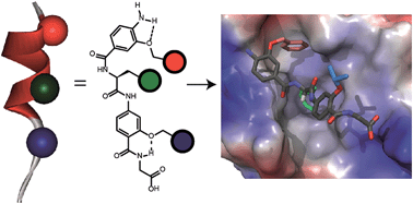 Graphical abstract: Stereocontrolled protein surface recognition using chiral oligoamide proteomimetic foldamers