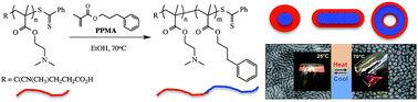 Graphical abstract: RAFT dispersion polymerization of 3-phenylpropyl methacrylate with poly[2-(dimethylamino)ethyl methacrylate] macro-CTAs in ethanol and associated thermoreversible polymorphism