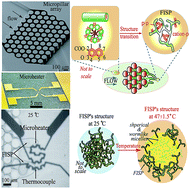 Graphical abstract: Turning up the heat on wormlike micelles with a hydrotopic salt in microfluidics