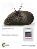 Graphical abstract: Back cover