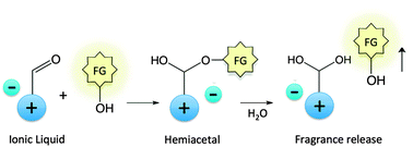 Graphical abstract: Pro-fragrant ionic liquids with stable hemiacetal motifs: water-triggered release of fragrances