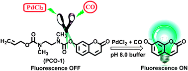 Graphical abstract: A new fluorogenic probe for the selective detection of carbon monoxide in aqueous medium based on Pd(0) mediated reaction