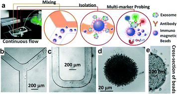 Graphical abstract: A microfluidic ExoSearch chip for multiplexed exosome detection towards blood-based ovarian cancer diagnosis