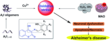 Graphical abstract: Multifunctional 3-Schiff base-4-hydroxycoumarin derivatives with monoamine oxidase inhibition, anti-β-amyloid aggregation, metal chelation, antioxidant and neuroprotection properties against Alzheimer's disease
