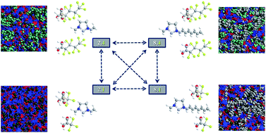 Graphical abstract: A thermophysical and structural characterization of ionic liquids with alkyl and perfluoroalkyl side chains