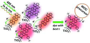 Graphical abstract: Strongly oxidizing perylene-3,4-dicarboximides for use in water oxidation photoelectrochemical cells