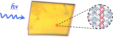 Graphical abstract: The lighter side of MOFs: structurally photoresponsive metal–organic frameworks