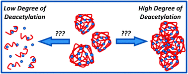 Graphical abstract: Factors affecting the stability of chitosan/tripolyphosphate micro- and nanogels: resolving the opposing findings