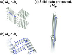 Graphical abstract: Multi-phase microstructures drive exciton dissociation in neat semicrystalline polymeric semiconductors