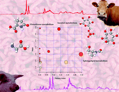 Graphical abstract: Meat, the metabolites: an integrated metabolite profiling and lipidomics approach for the detection of the adulteration of beef with pork