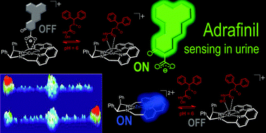 Graphical abstract: Fluorescent zinc and copper complexes for detection of adrafinil in paper-based microfluidic devices