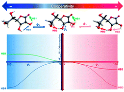 Graphical abstract: Nature of intramolecular interactions of vitamin C in view of interacting quantum atoms: the role of hydrogen bond cooperativity on geometry