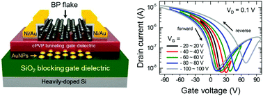 Graphical abstract: Black phosphorus nonvolatile transistor memory