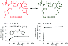 Graphical abstract: Investigation on the controlled synthesis and post-modification of poly-[(N-2-hydroxyethyl)-aspartamide]-based polymers