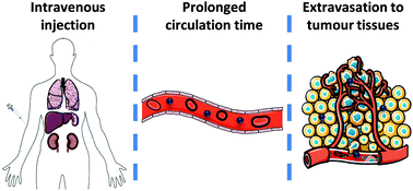 Graphical abstract: Clinical application of polymeric micelles for the treatment of cancer