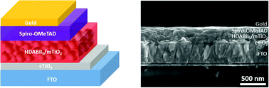 Graphical abstract: Hybrid organic–inorganic solar cells based on bismuth iodide and 1,6-hexanediammonium dication