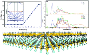 Graphical abstract: Tunable electronic structure and enhanced optical properties in quasi-metallic hydrogenated/fluorinated SiC heterobilayer