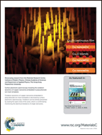 Graphical abstract: Inside back cover