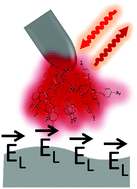 Graphical abstract: Imaging localized electric fields with nanometer precision through tip-enhanced Raman scattering