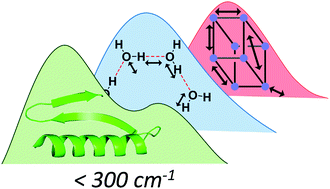 Graphical abstract: Far infrared spectroscopy of hydrogen bonding collective motions in complex molecular systems