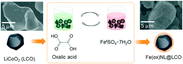 Graphical abstract: Solution-based sequential modification of LiCoO2 particle surfaces with iron(ii) oxalate nanolayers