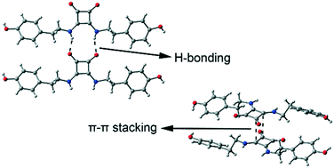Graphical abstract: A combined crystallographic and theoretical study of weak intermolecular interactions in crystalline squaric acid esters and amides
