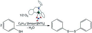 Graphical abstract: Heterocyclic bismuth(iii) compounds with transannular N→Bi interactions as catalysts for the oxidation of thiophenol to diphenyldisulfide