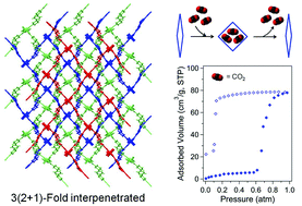 Graphical abstract: Selective carbon dioxide sorption by a new breathing three-dimensional Zn-MOF with Lewis basic nitrogen-rich channels