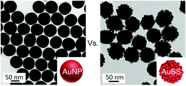 Graphical abstract: Effect of size and curvature on the enzyme activity of bionanoconjugates