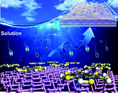 Graphical abstract: On-surface synthesis: a promising strategy toward the encapsulation of air unstable ultra-thin 2D materials
