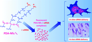 Graphical abstract: Polydiacetylenic nanofibers as new siRNA vehicles for in vitro and in vivo delivery