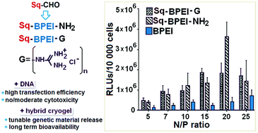 Graphical abstract: Squalene/polyethylenimine based non-viral vectors: synthesis and use in systems for sustained gene release