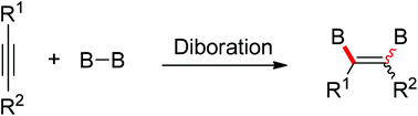 Graphical abstract: Catalytic and catalyst-free diboration of alkynes