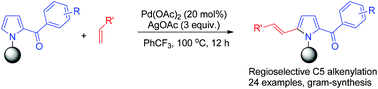 Graphical abstract: Regioselective C5 alkenylation of 2-acylpyrroles via Pd(ii)-catalyzed C–H bond activation