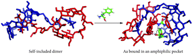 Graphical abstract: pH-Controlled recognition of amino acids by urea derivatives of β-cyclodextrin