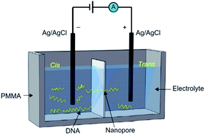 Graphical abstract: Piecing together the puzzle: nanopore technology in detection and quantification of cancer biomarkers