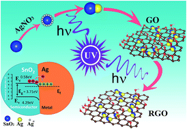 Graphical abstract: Ag–SnO2 nano-heterojunction–reduced graphene oxide by a stepwise photocatalyzed approach and its application in ractopamine determination