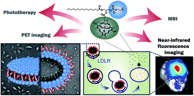 Graphical abstract: Tailored theranostic apolipoprotein E3 porphyrin-lipid nanoparticles target glioblastoma