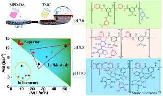 Graphical abstract: Novel thin-film composite membranes via manipulating the synergistic interaction of dopamine and m-phenylenediamine for highly efficient forward osmosis desalination