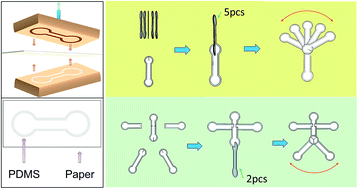 Graphical abstract: Rapid fabrication of versatile omni-directional and long-distance three-dimensional flow paper-fluidic analytical devices using a cut-and-insert method for biomedical applications