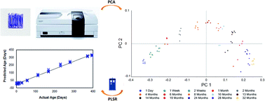 Graphical abstract: A study into the ageing and dating of blue ball tip inks on paper using in situ visible spectroscopy with chemometrics