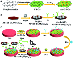 Graphical abstract: An electrochemical immunosensor based on a multiple signal amplification strategy for highly sensitive detection of prostate specific antigen