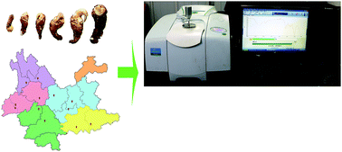 Graphical abstract: Geographical traceability of cultivated Paris polyphylla var. yunnanensis using ATR-FTMIR spectroscopy with three mathematical algorithms