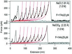 Graphical abstract: Single-molecule force-unfolding of titin I27 reveals a correlation between the size of the surrounding anions and its mechanical stability