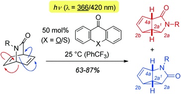 Graphical abstract: Triplet-sensitised di-π-methane rearrangement of N-substituted 2-azabarrelenones