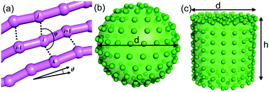 Graphical abstract: Aggregation of amyloid peptides into fibrils driven by nanoparticles and their curvature effect
