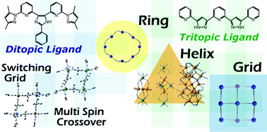 Graphical abstract: Pre-programmed self-assembly of polynuclear clusters