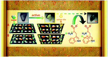 Graphical abstract: Double layer zinc–UDP coordination polymers: structure and properties