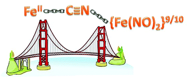 Graphical abstract: Bridging cyanides from cyanoiron metalloligands to redox-active dinitrosyl iron units