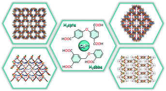 Graphical abstract: A new series of Cd(ii) metal–organic architectures driven by soft ether-bridged tricarboxylate spacers: synthesis, structural and topological versatility, and photocatalytic properties